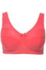 Picture of Grudnjak Kelly