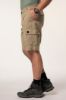 Picture of Hlače bermude sportske - Beige JP
