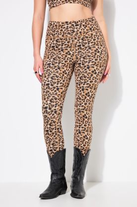 Picture of Tajice sportske s leopard uzorkom