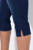 Picture of Traperice Capri
