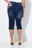 Picture of Traperice Capri