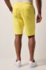 Picture of Hlače bermude - Pjesak bež JP