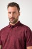 Picture of Majica polo kratkih rukava - Azurno plava JP